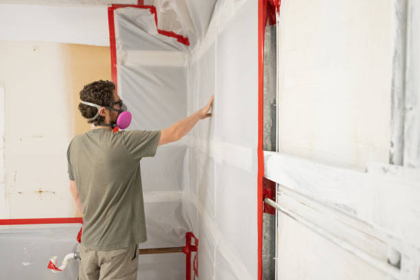 Best Basement Mold Removal  in Way, NE