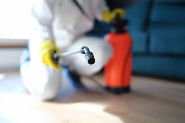 Mold Removal for HVAC Installations in Wayne, NE
