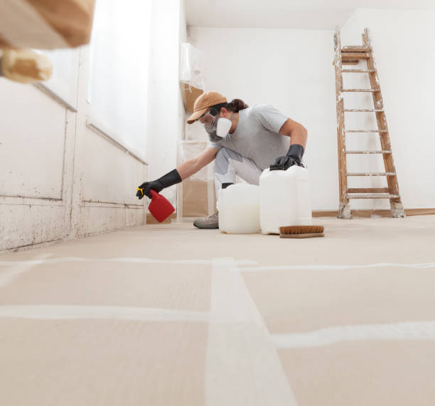 Best Emergency Mold Remediation  in Way, NE